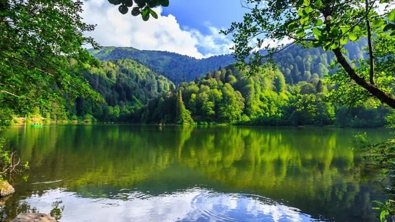 Doğayı yansıtan yemyeşil ormanlarla çevrili sakin göl manzarası ve suya yansıyan ağaçlar