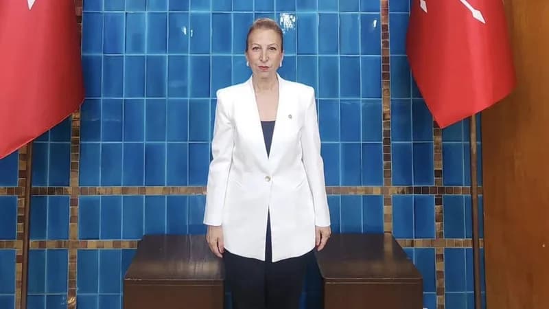 Süreyya Öneş Derici istifasını açıkladıktan hemen sonra mesajını kaldırdı