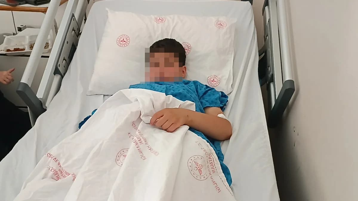 Batman’da Parkta Veda Partisi Kanla Bitti: İlkokul Öğrencisi Havalı Tüfekle Vuruldu!