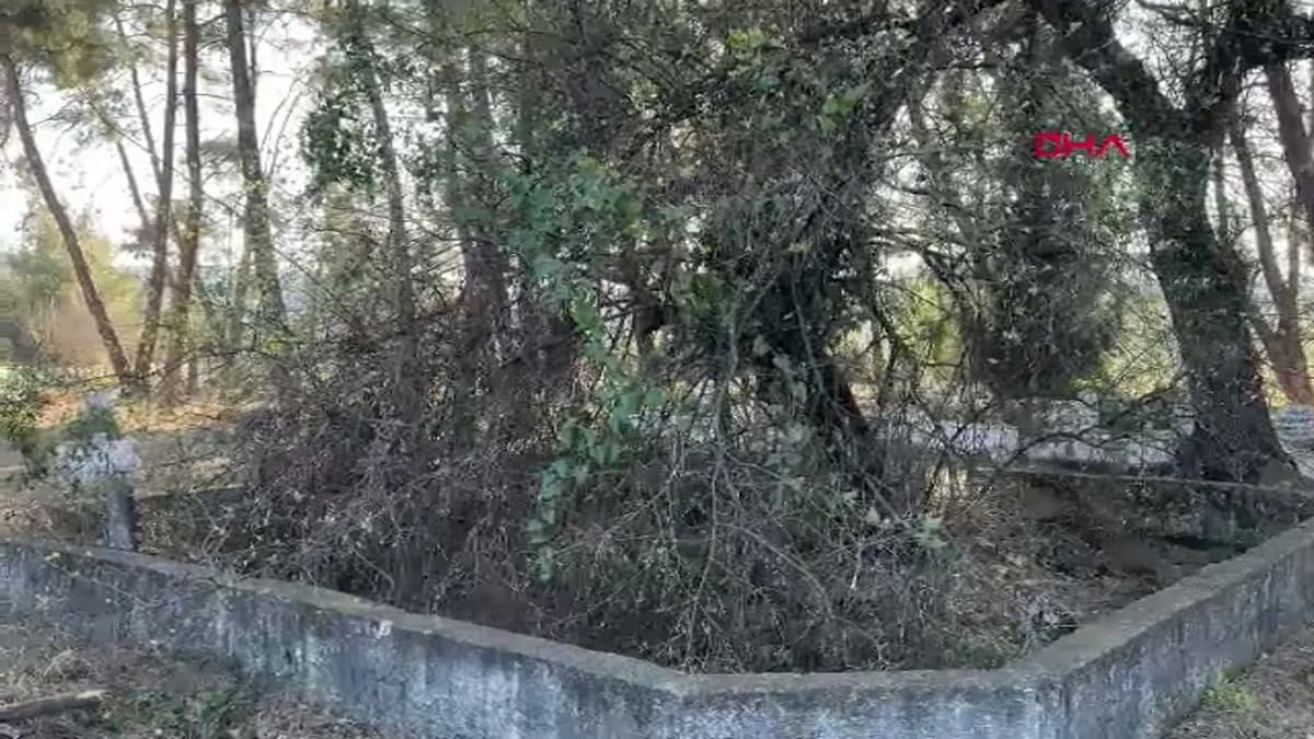 Muğla’daki İki Asırlık Adağı Taşının Kaybolması