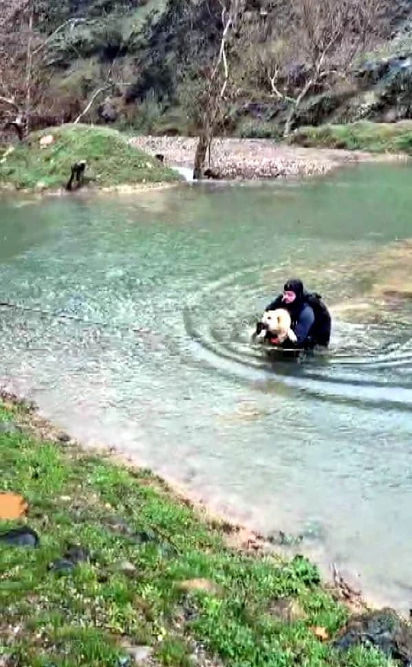 Kahramanmaraş’ta Suyla Çevrili Alanda Mahsur Kalan Köpek Kurtarıldı