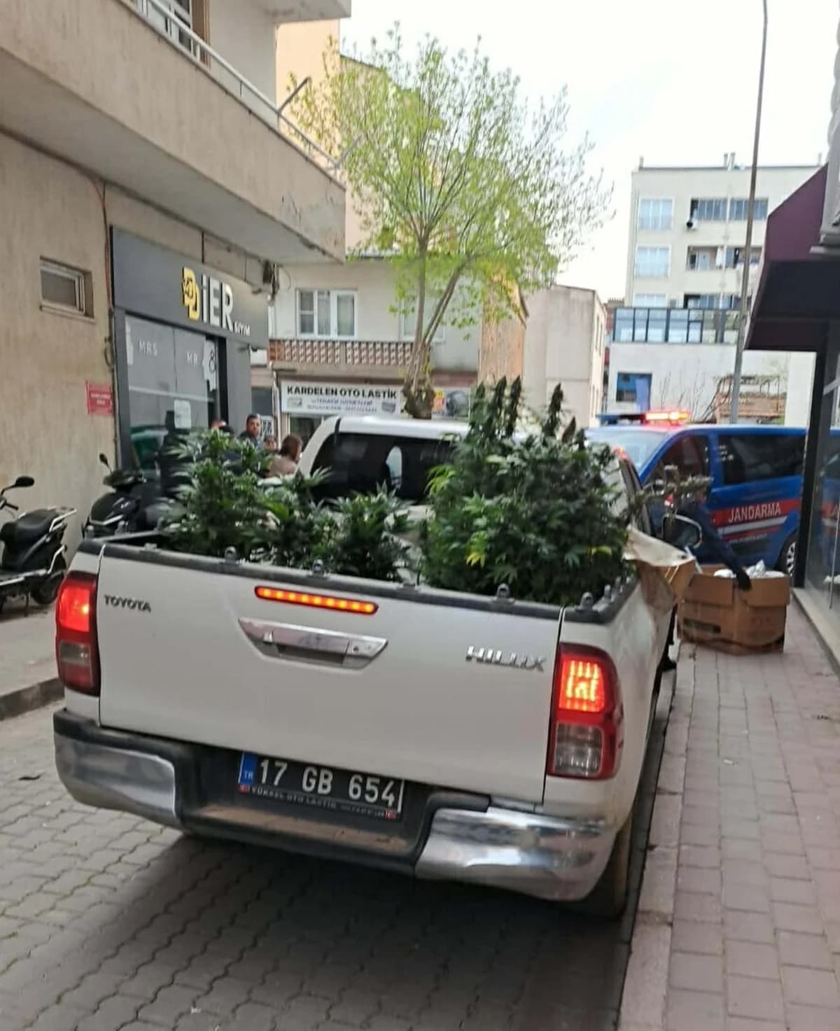 Çanakkale’de Uyuşturucu Tarlasına Raçin Uyuşturucu Üreticisi Yakalandı
