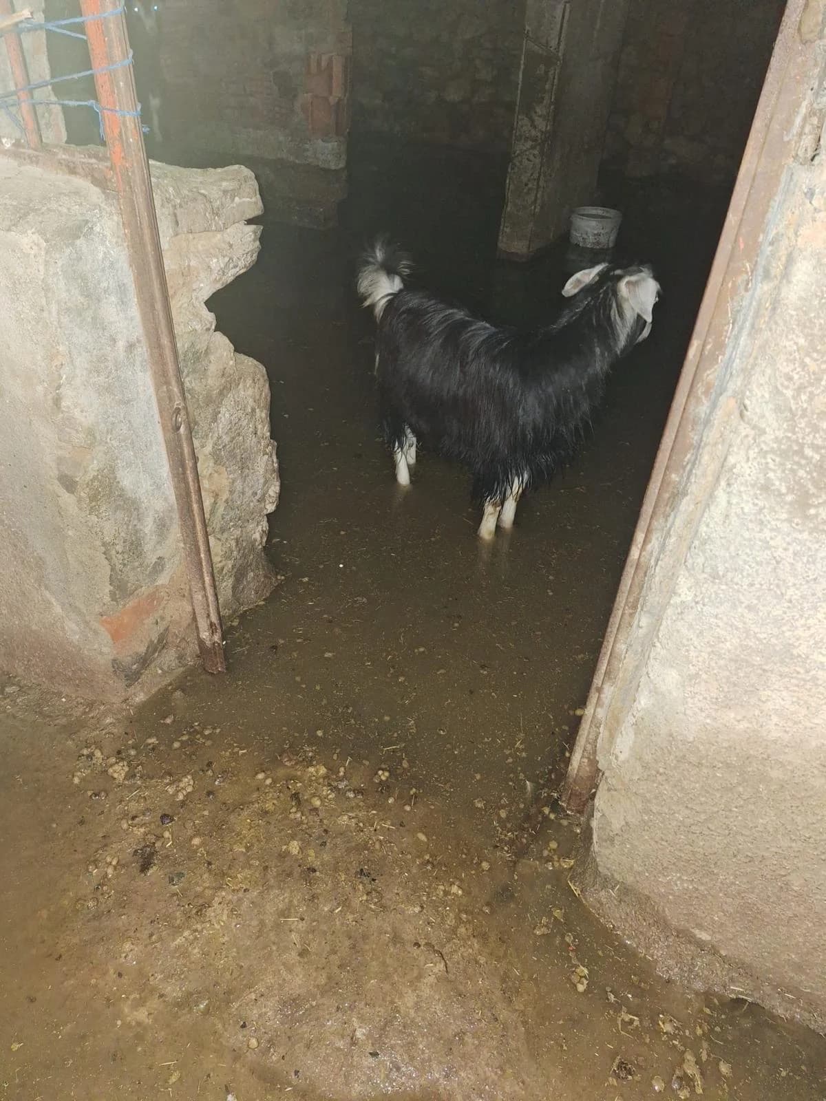 Bingöl’de Şiddetli Yağışlar Su Baskınlarına Sebep Oldu!
