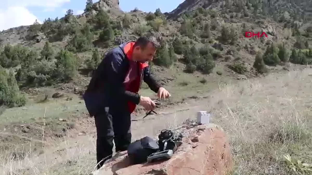 Erzurum Oltu’da Nadir Görülen Vaşak Dronla Görüntülendi