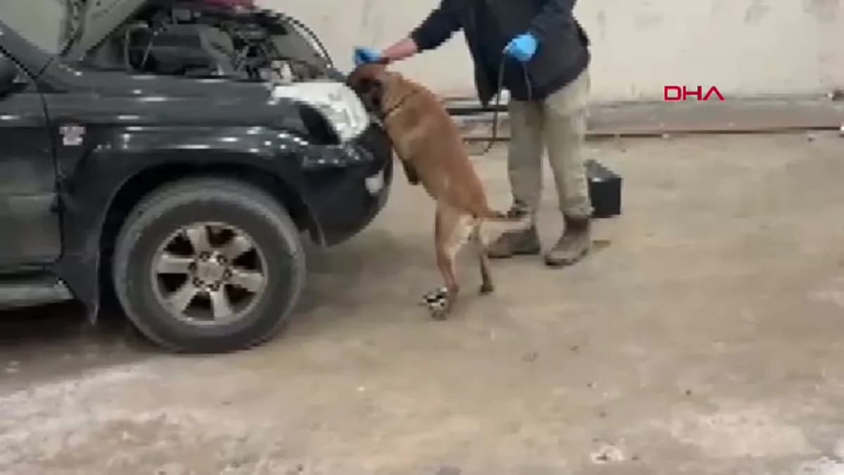 Kapıkule Sınır Kapısı’nda 8 Kilo Kokain Ele Geçirildi