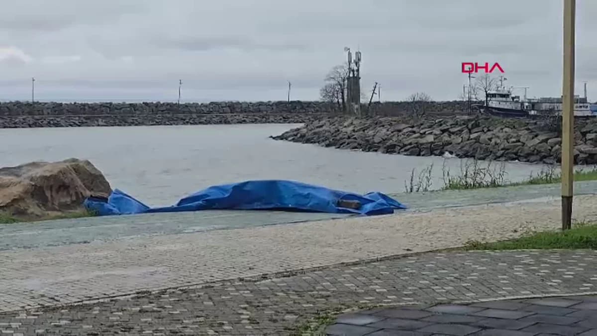 Ordu’da Sahile Vuran Gizemli Cihaz İnceleniyor