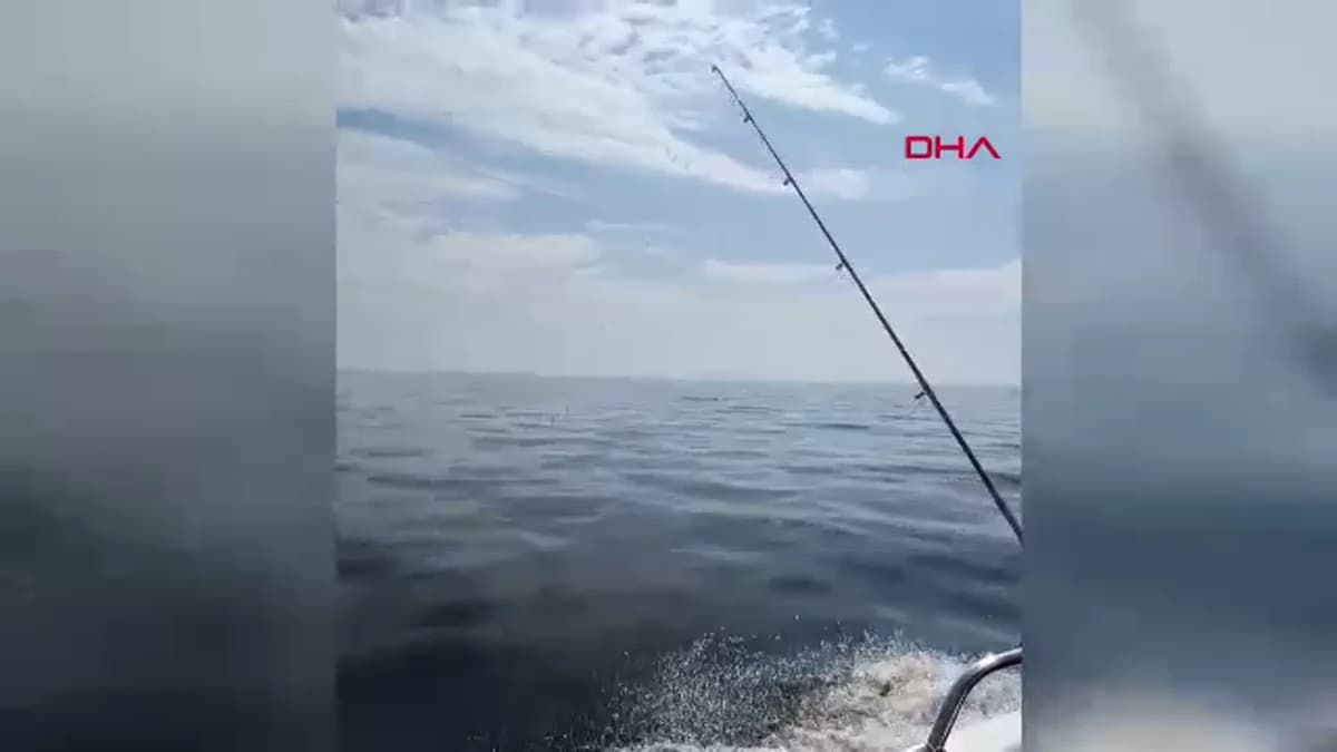 Edirne Saros’ta Tekne Yanında Eğlenceli Yunus Dansı