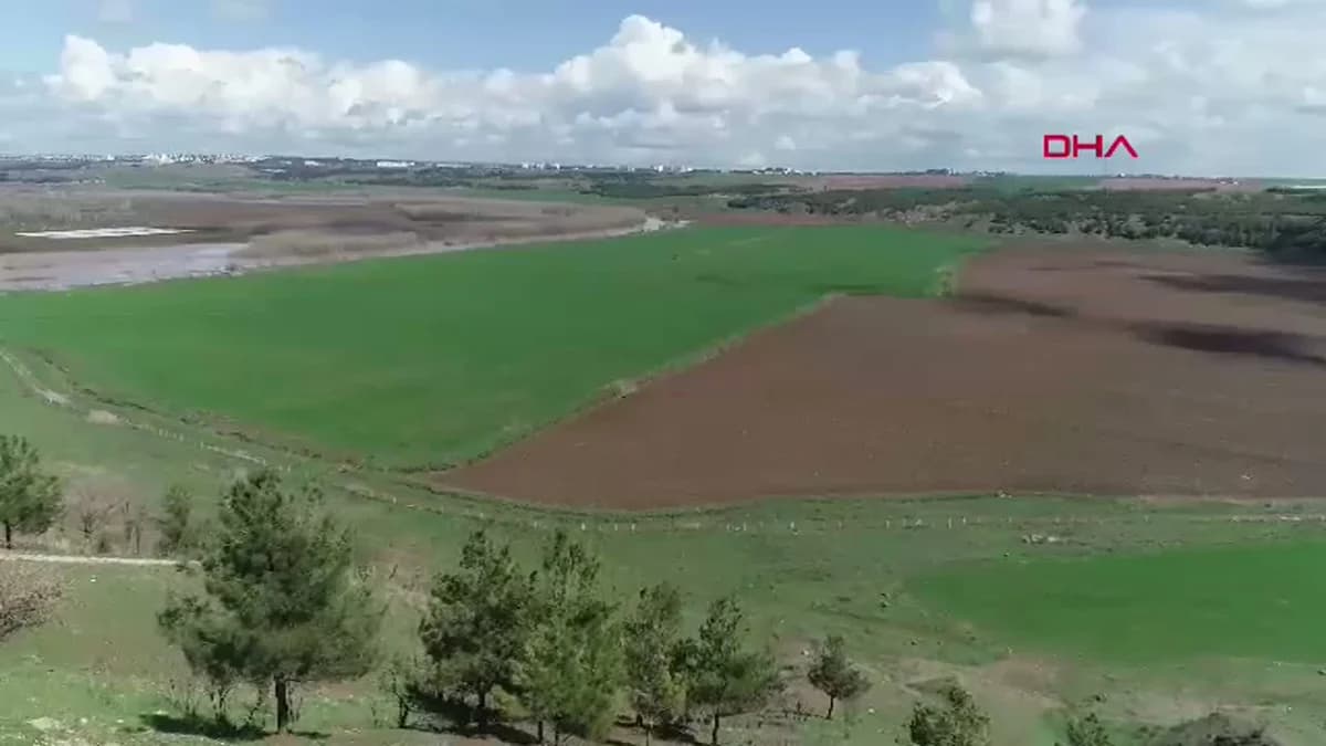 Diyarbakır’da Sağanak Yağışlar Çiftçiyi Sevindiriyor