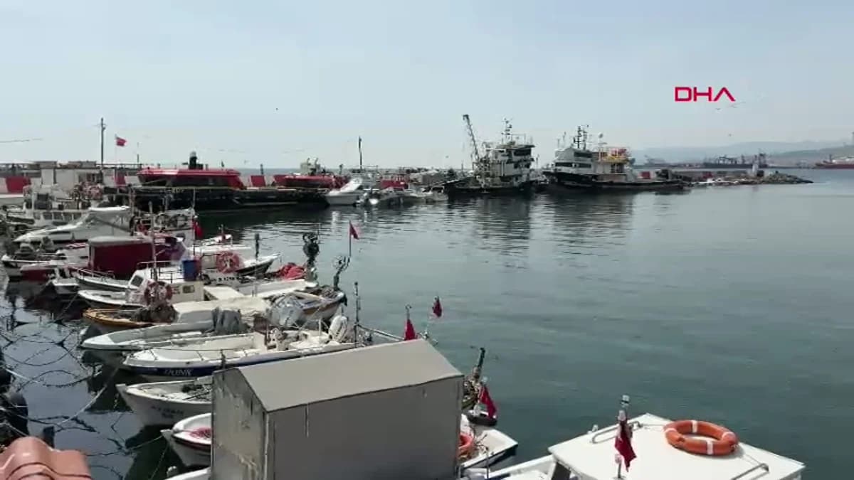 Tekirdağ Balıkçıları Sezon Sonunda Gülüyor