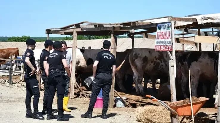 Tekirdağ’daki Kurban Pazarında Kavga: 5 Kişi Yaralandı