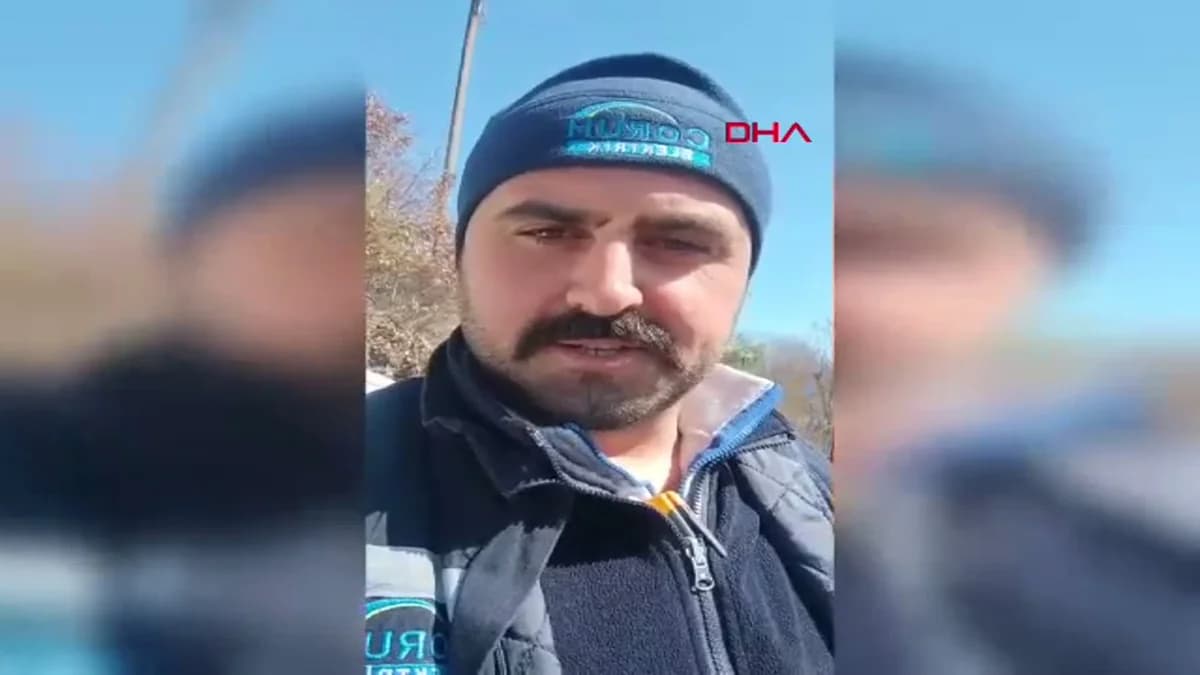 Artvin’de Elektrik Direğindeki Kedi Kurtarıldı