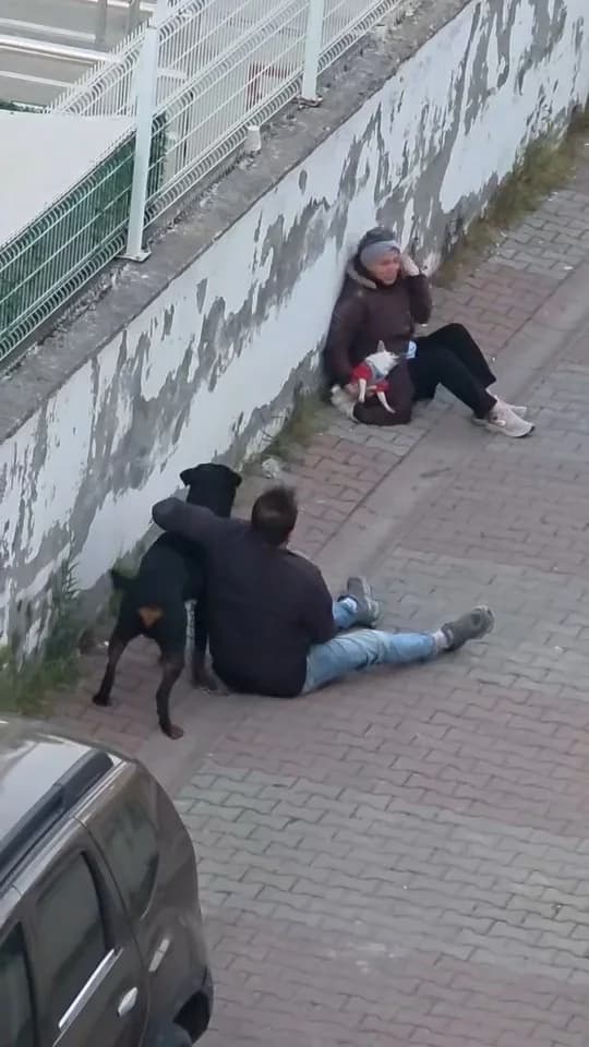 Ümraniye’de Dehşet Anları: Ağızlıksız Rottweiler Küçük Köpeğe Böyle Saldırdı!