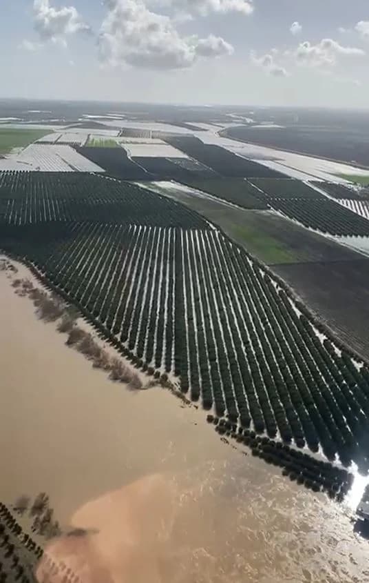 Adana’da Tarım Arazileri Su Altında Kaldı: Üreticiler Yeniden Ekim Yapmak Zorunda