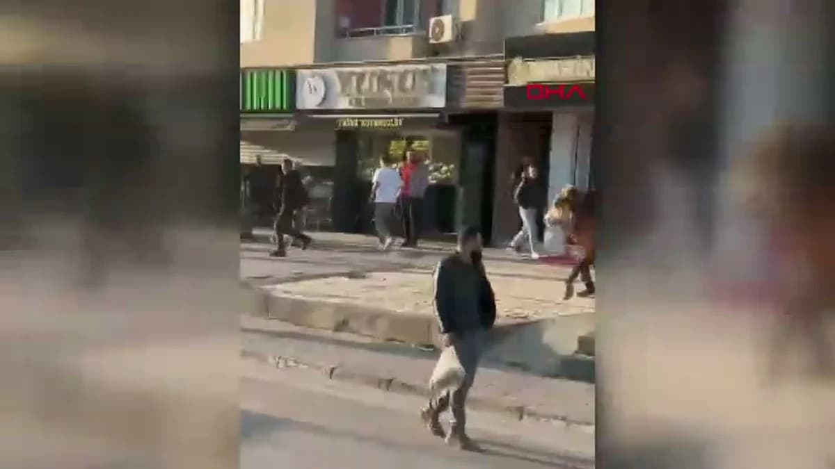 Bursa’da Çiftlikten Kaçan Boğa, Trafikte Panik Yarattı