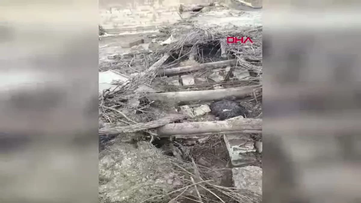 Van’ın Başkale İlçesinde Yağışlar Sonucu Ahır Çöktü, 20 Küçükbaş Hayvan Hayatını Kaybetti