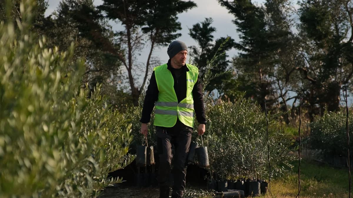 1 Milyon Zeytin Fidanı Hedefiyle Doğayı Koruma Projesi
