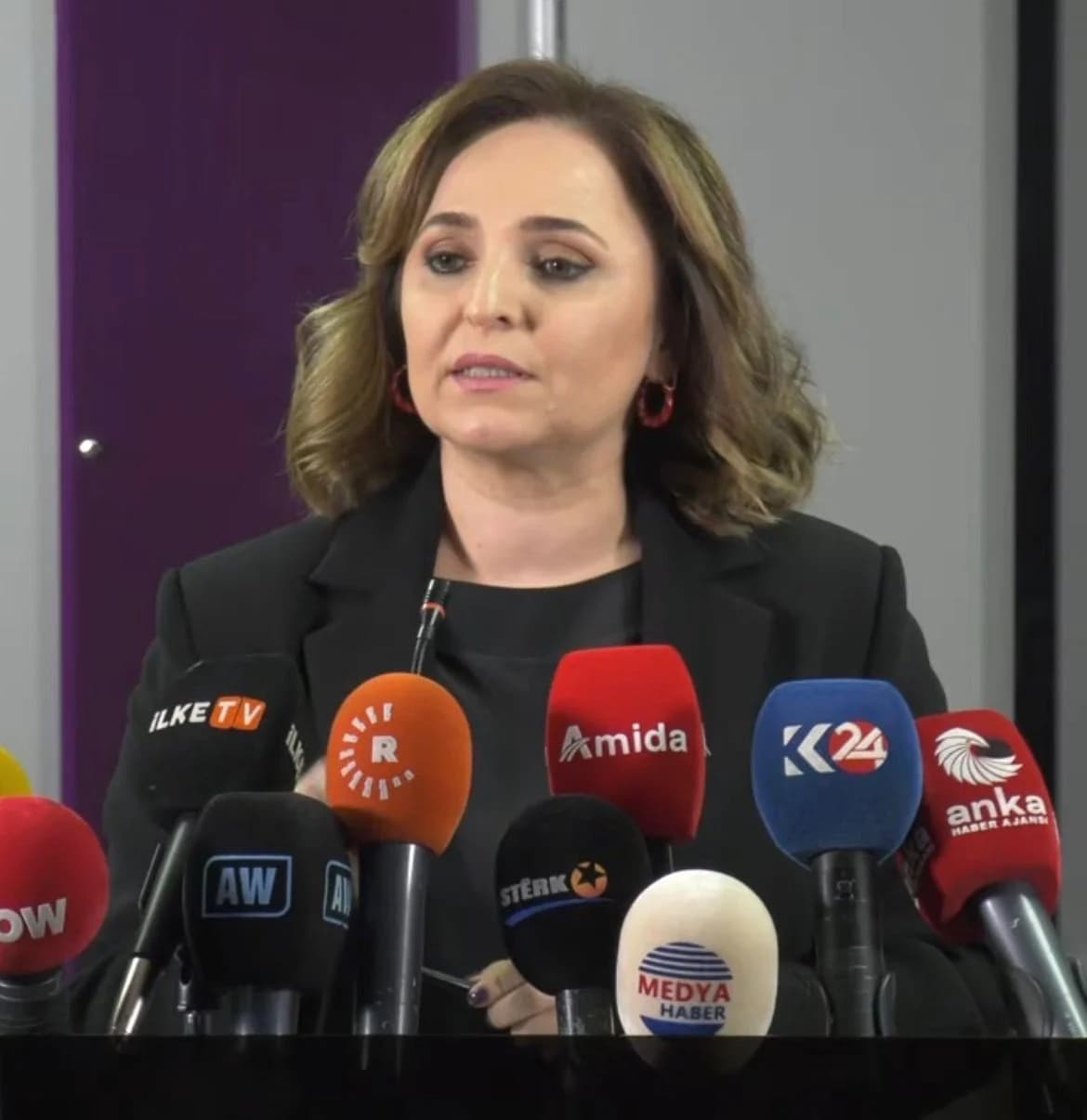 DEM Parti Sözcüsü Ayşegül Doğan: ‘Yasal Düzenlemeleri Beklemeden Adımlar Atabiliriz’