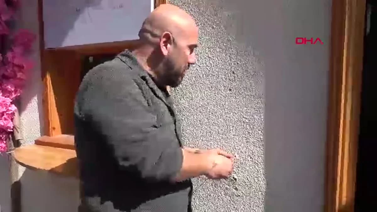 Bursa’da Süs Ağacı Hırsızlığı: İşletme Sahibi Şikayetçi Olmayacağını Açıkladı