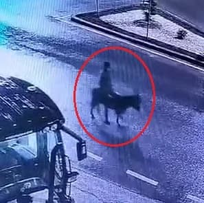 Kuyumcudan Eşekle Kaçan Hırsızın Zarar Tespiti Yapılacak