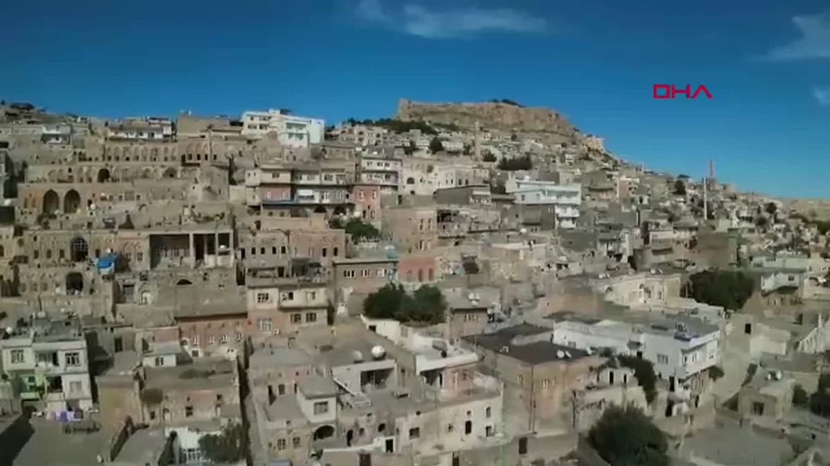 Mardin’de ‘Şeker Hastalığına İyi Gelir’ Diye Yenilen Ot, Kadının İç Organlarını Yok Etti: ‘Ölümden Döndüm, Siz Düşmeyin!’