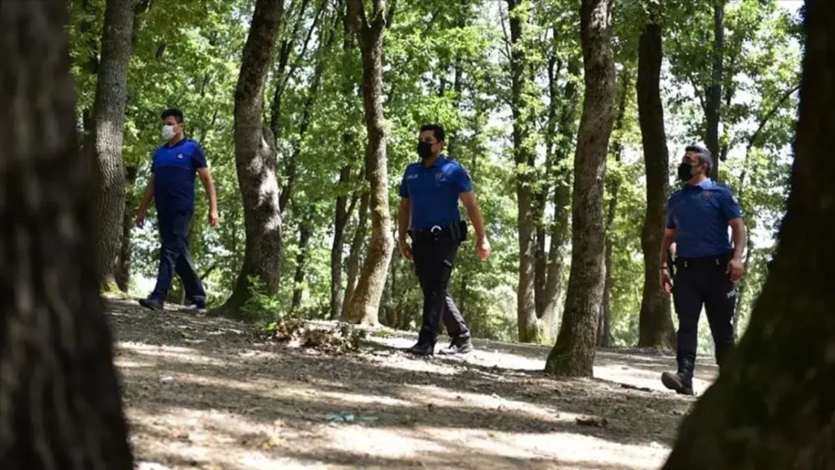 İzmirdeki Ormanlık Alanlara Giriş Beş Ay Süreyle Yasaklandı