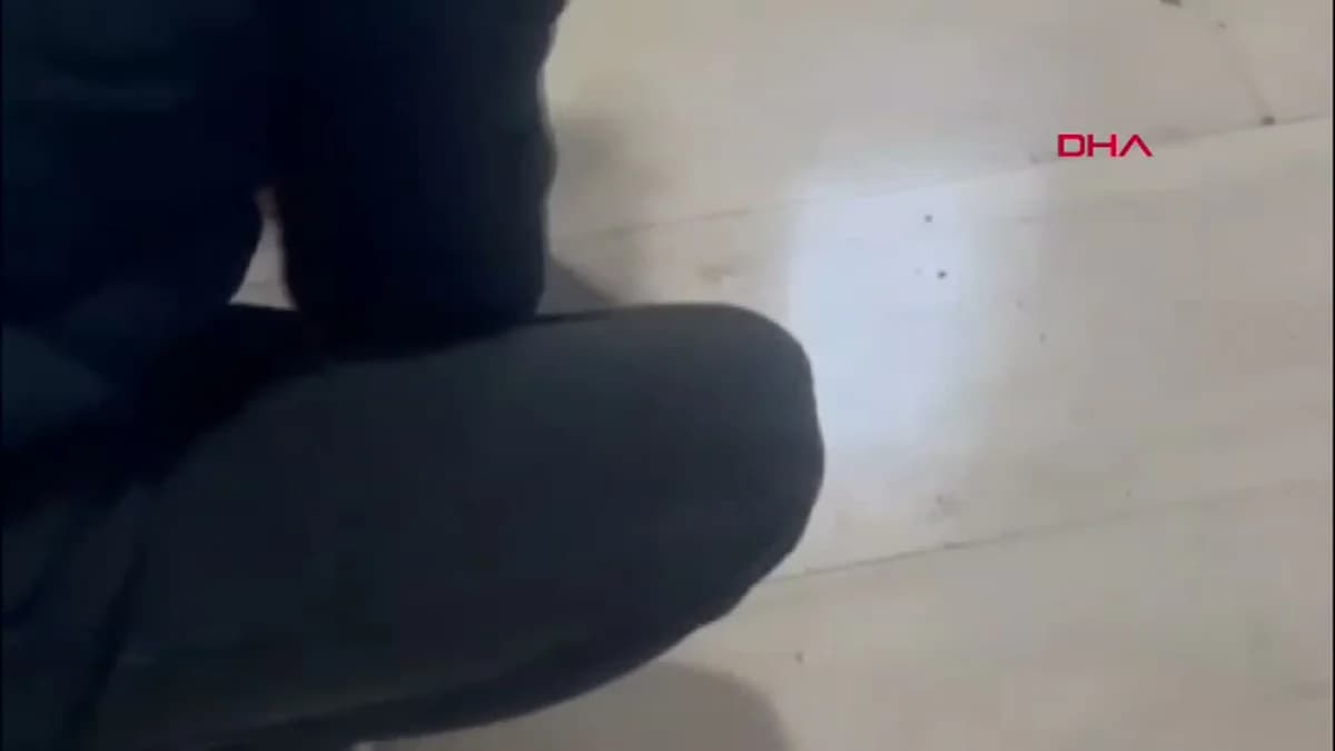 Mardin’de Bitkin Halde Bulunan Ebabil Kuşu Doğaya Uçtu