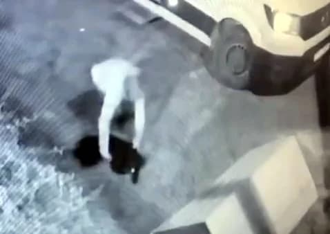 Avcılar’da Mahallenin Maskotu ‘Garip’ İsimli Köpeğin Çalındığı Anlar Güvenlik Kamerasında
