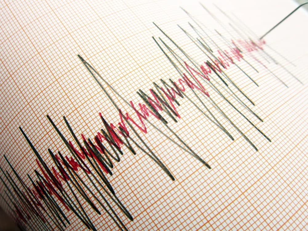 Muğla Köyceğiz’de 4,1’lik deprem: Görür’den Batı Anadolu uyarısı