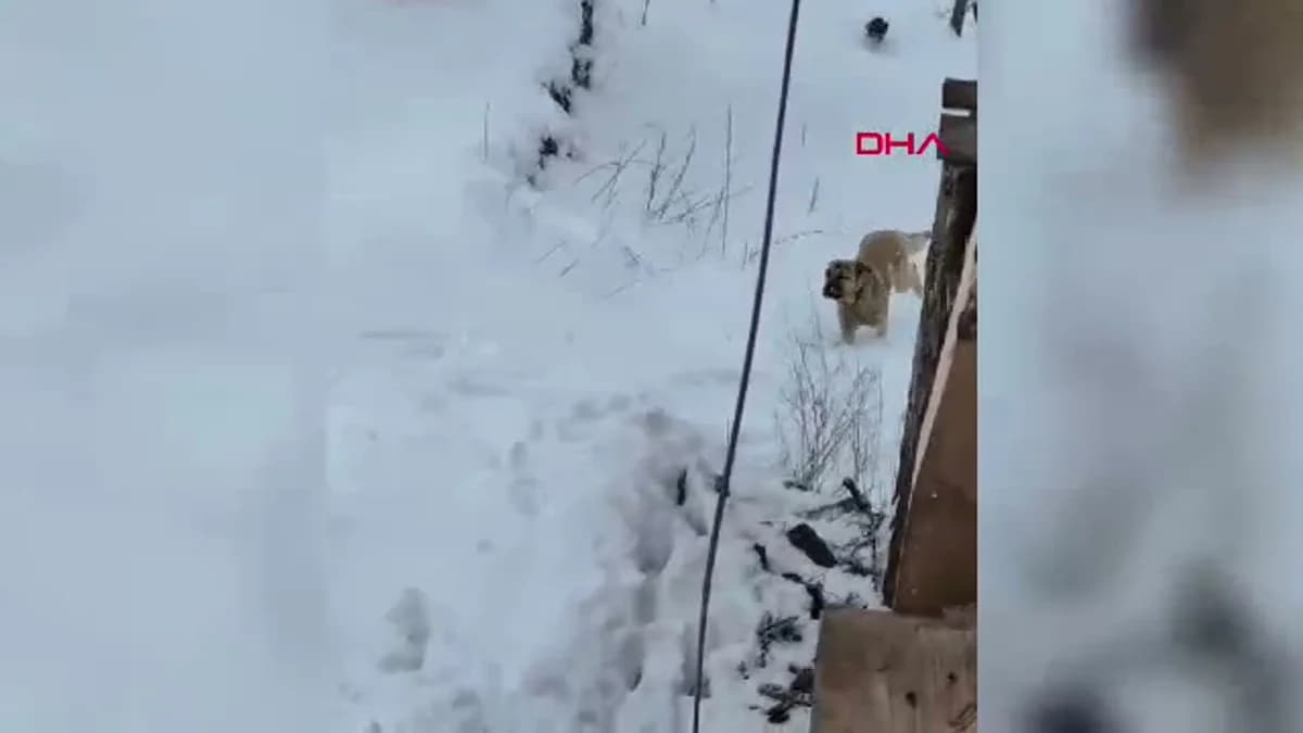 Çorum İskilip’te Yoğun Kar Yağışı
