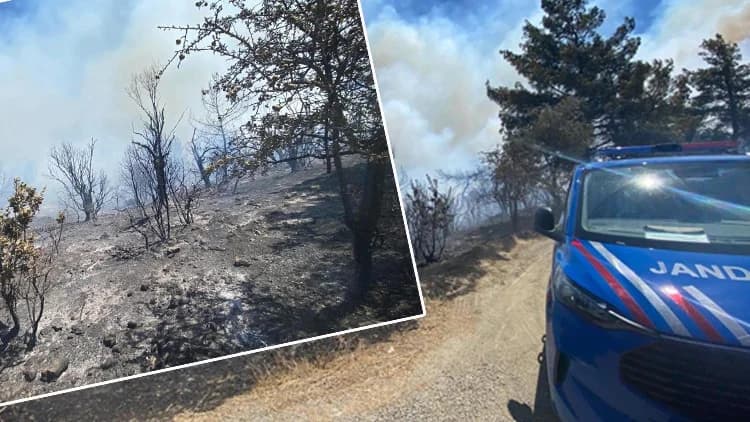 İzmir Seferihisar’da Korkutan Orman Yangını! Ekipler Seferber Oldu