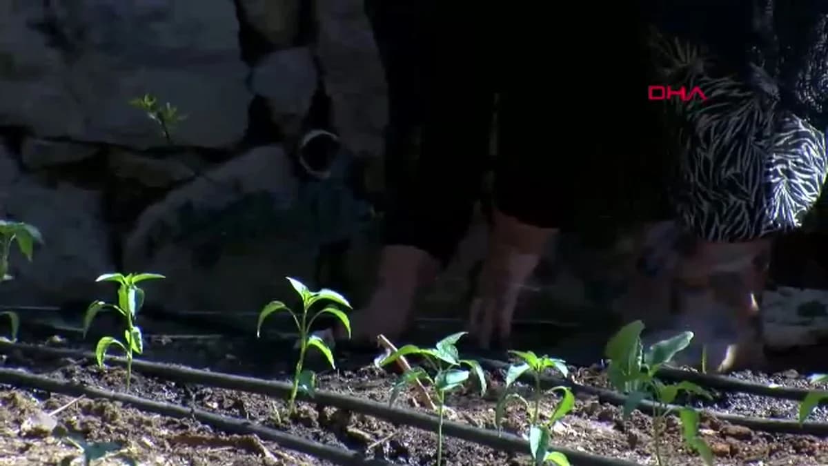 Antalya’da Psikiyatri Hastaları Hem Tedavi Ediliyor Hem Çalışarak Gelir Elde Ediyor
