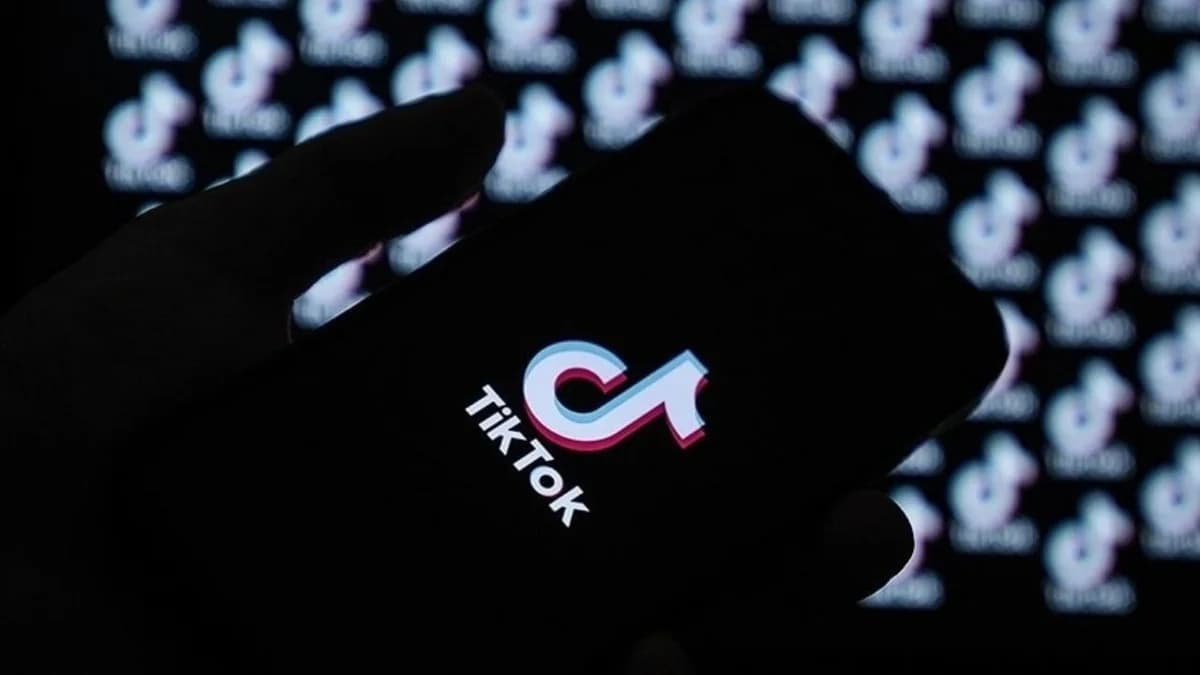 TikTok Skandalında Devlet Harekete Geçti: Baba Gözaltında, Çocuk Koruma Altında