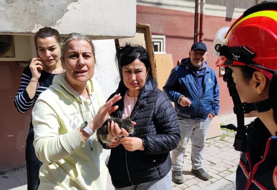 Avcılar’da Yıkımda Mahsur Kalan Yavru Kedi İtfaiye Tarafından Kurtarıldı