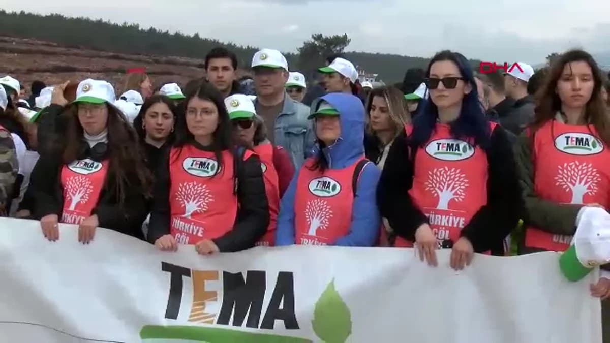 İzmir’de Orman Yangınlarının Ardından 15 Bin Fidan Dikildi