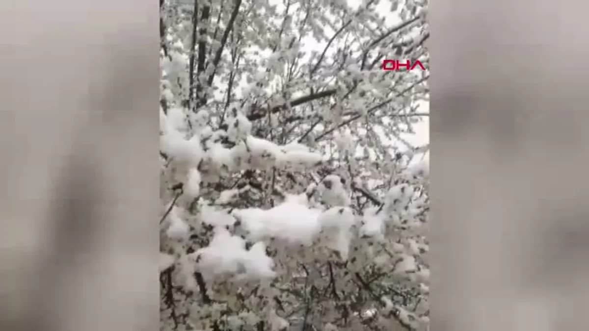 Sivas’ın Yüksekleri Beyaza Büründü: Kar Yağışı Etkili Oldu