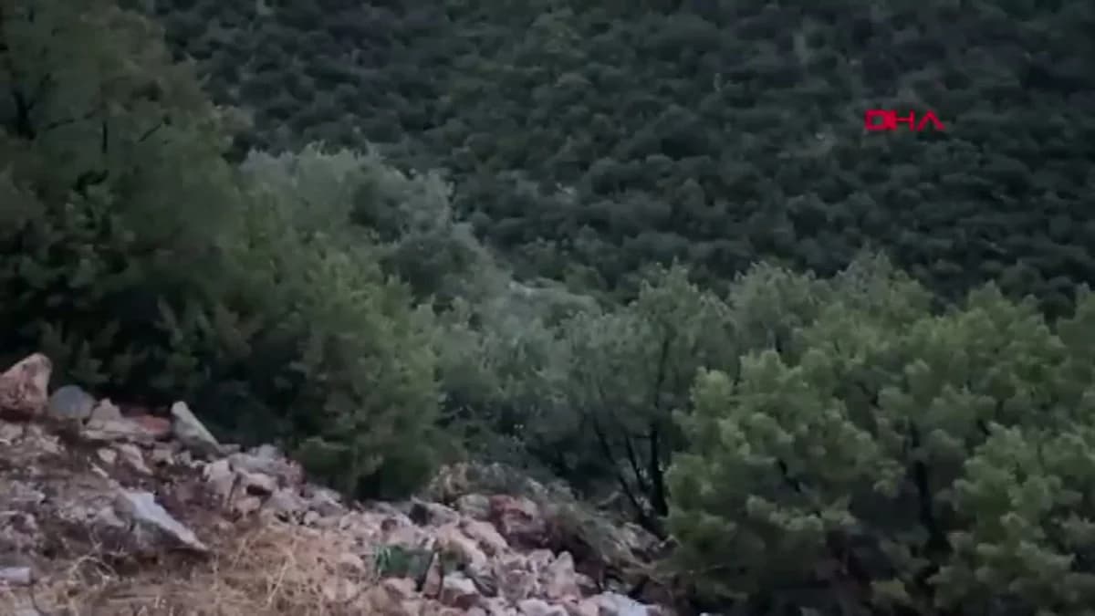Bodrum’da Anne ve Kızı Olmadan Kayıp: Paralı Asker Eski Eşinden Tahliye Talebi