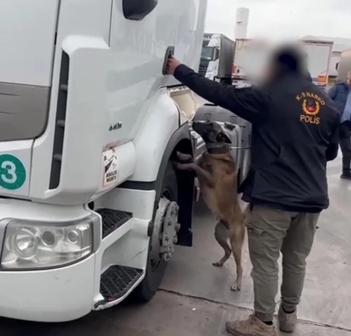 Edirne’de TIR’da 53 Kilo Skunk Yakalandı; İki Kişi Gözaltında