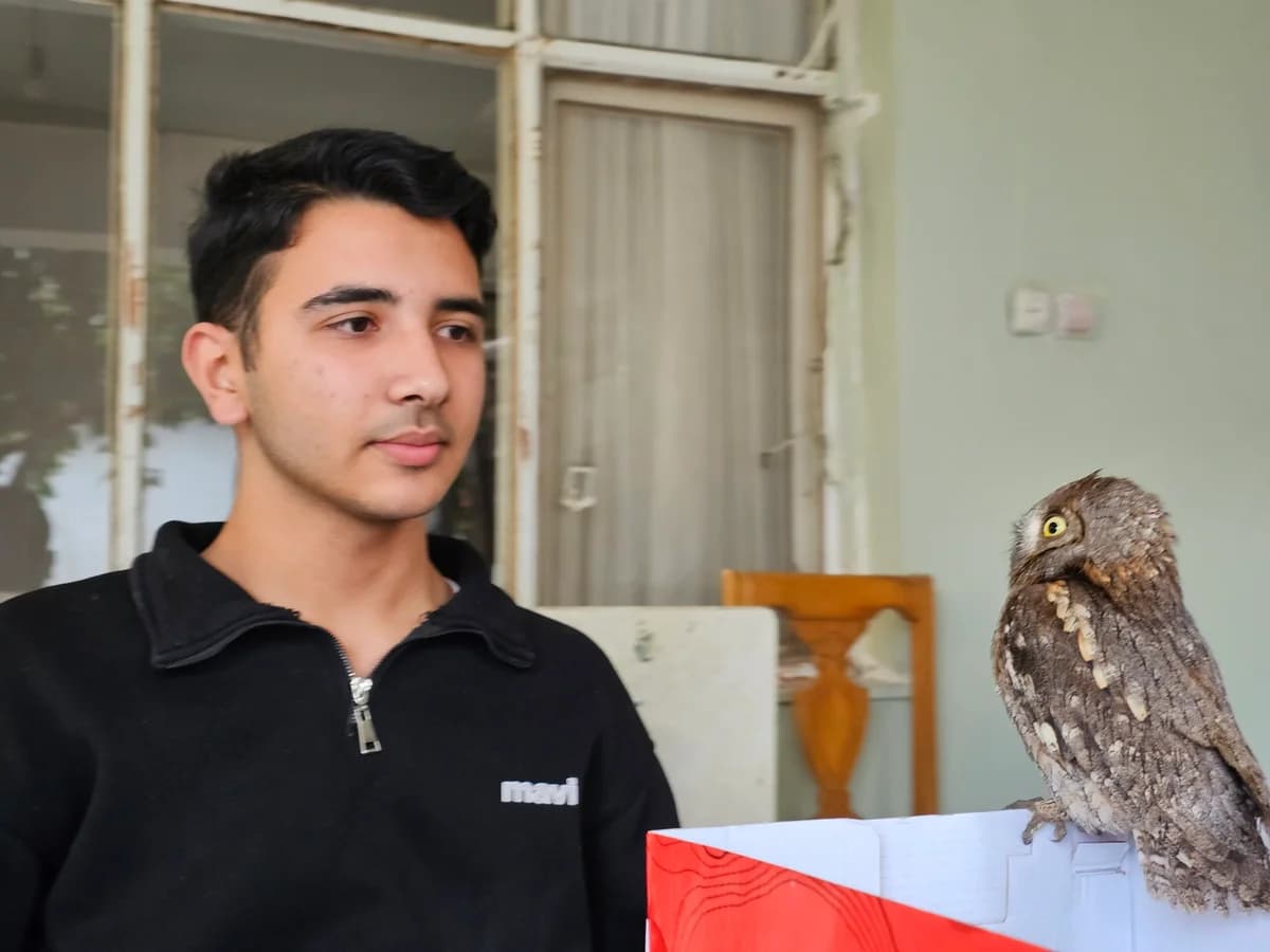14 Yaşındaki Berk, Yaralı İshak Kuşunu Kurtardı