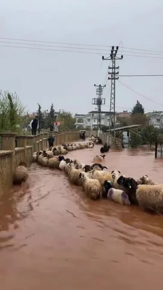 Hatay’da Şiddetli Yağışlar Günlük Yaşama Zarar Verdi