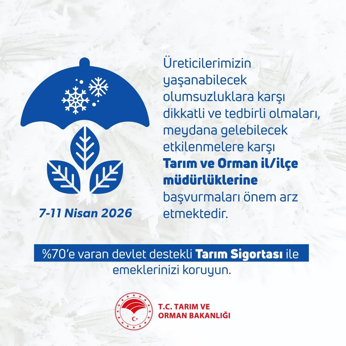 Tarım ve Orman Bakanlığı’ndan Önemli Zirai Don Uyarısı