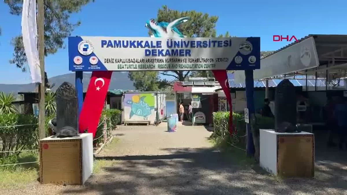 Muğla’da Tatilciler Dikkat! Caretta Carettaları Korumak Elimizde
