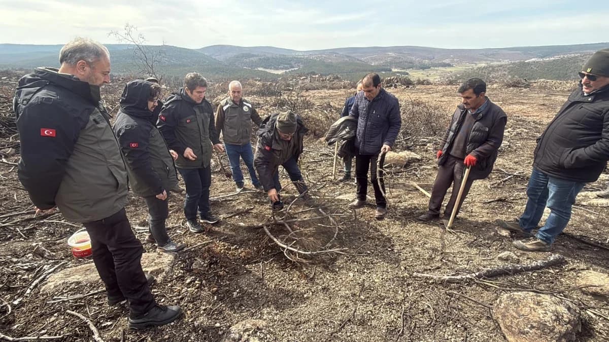 Şehitlerin Anısına Yeniden Ağaçlandırma: Eskişehir’de Yangın Alanları İçin Çalışmalar Başlatıldı