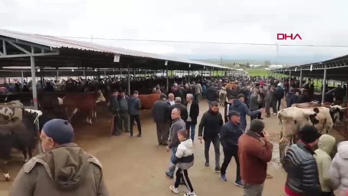 Kurban Bayramı Hazırlığı: Sandıklı Hayvan Pazarı Hareketlendi, Fiyatlar Açıklandı