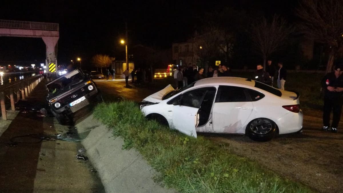 Edirne’de Trafik Kazası: 3 Yaralı, Kayıp Kedi ‘Zoiy’ Aranıyor