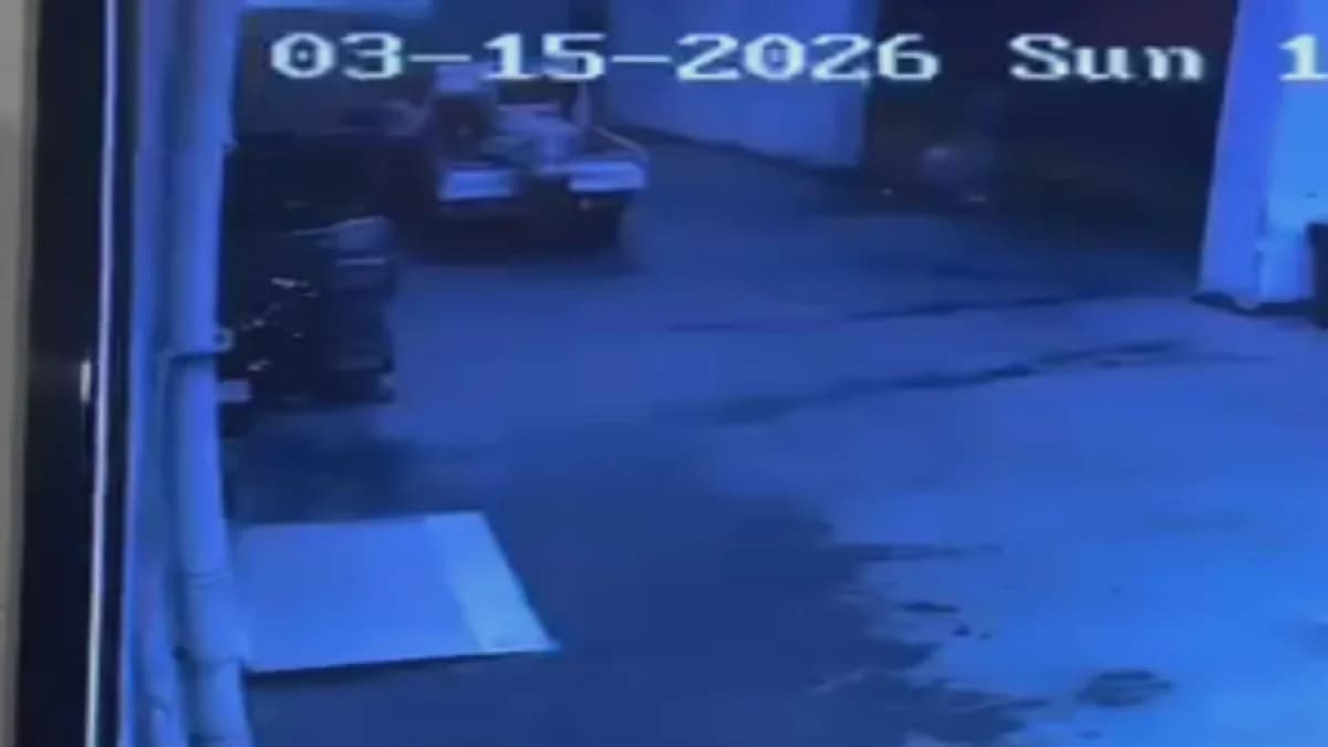 Avcılar’da Palet Hırsızlığını Gerçekleştiren 4 Şüpheli Yakalandı