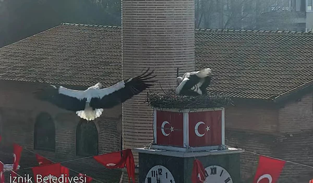 İznik’te Can ve Canan Leyleklerinin 2. Yılı Coşkuyla Kutlandı