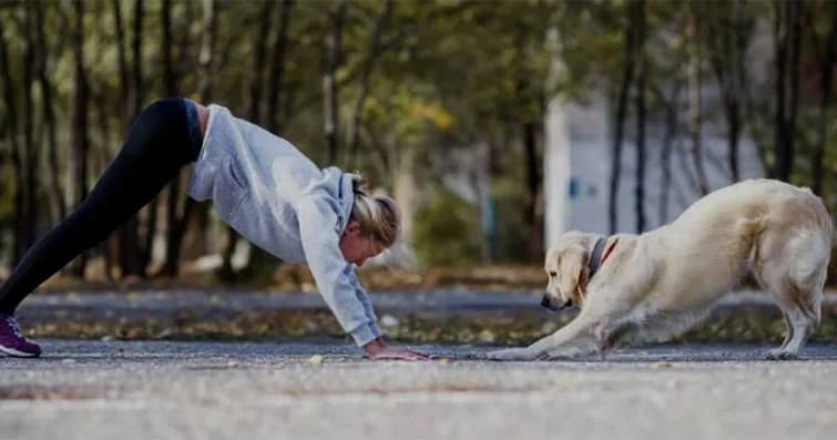Köpeklerde Egzersiz İhtiyacı: Farklı Yaşlardaki Köpekler İçin Öneriler