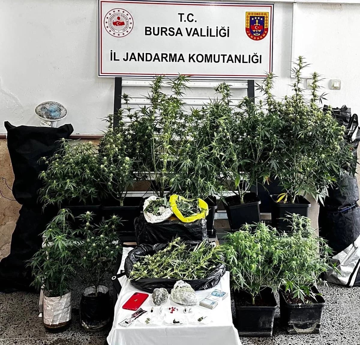 Bursa’da Nefes Kesen Uyuşturucu Operasyonu: 2 Kilo Esrar, 10 Kök Skunk ve Çok Sayıda Uyuşturucu Madde Ele Geçirildi