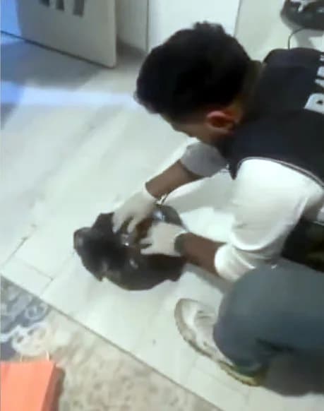 İstanbul’da Uyuşturucu Operasyonu: Ruhsatsız Silahlar ve Uyuşturucu Madde Ele Geçirildi