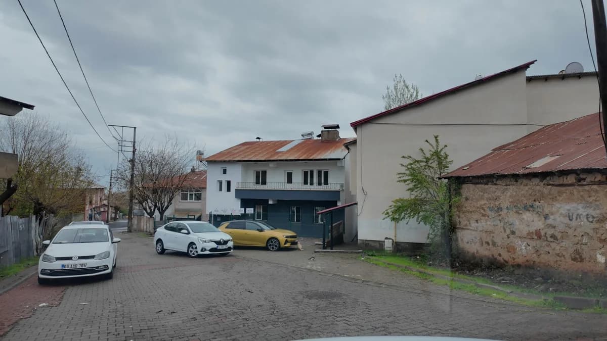 Bingöl’de Gönüllüler Sokak Kedileri İçin Kiralık Evde Yuva Kurdu